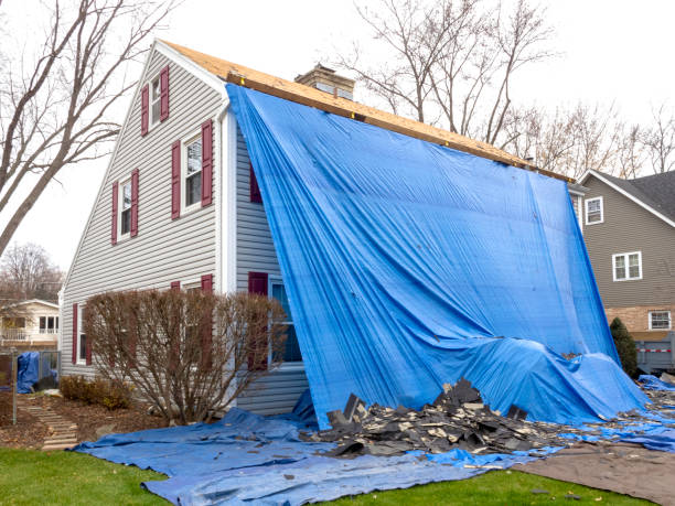 Best Residential Junk Removal  in Willard, MO